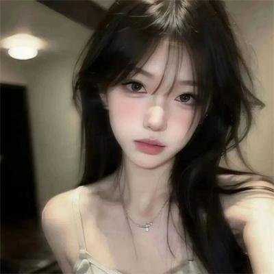完美独裁